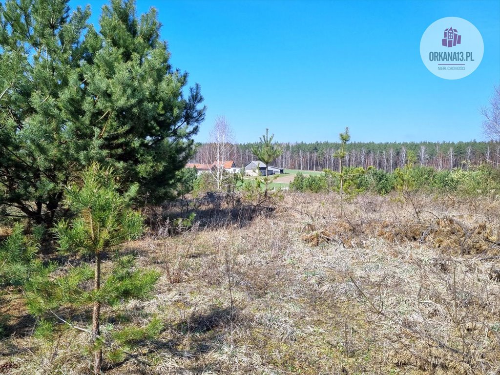 Działka rolna na sprzedaż Biesówko, Biesówko  4 093m2 Foto 3