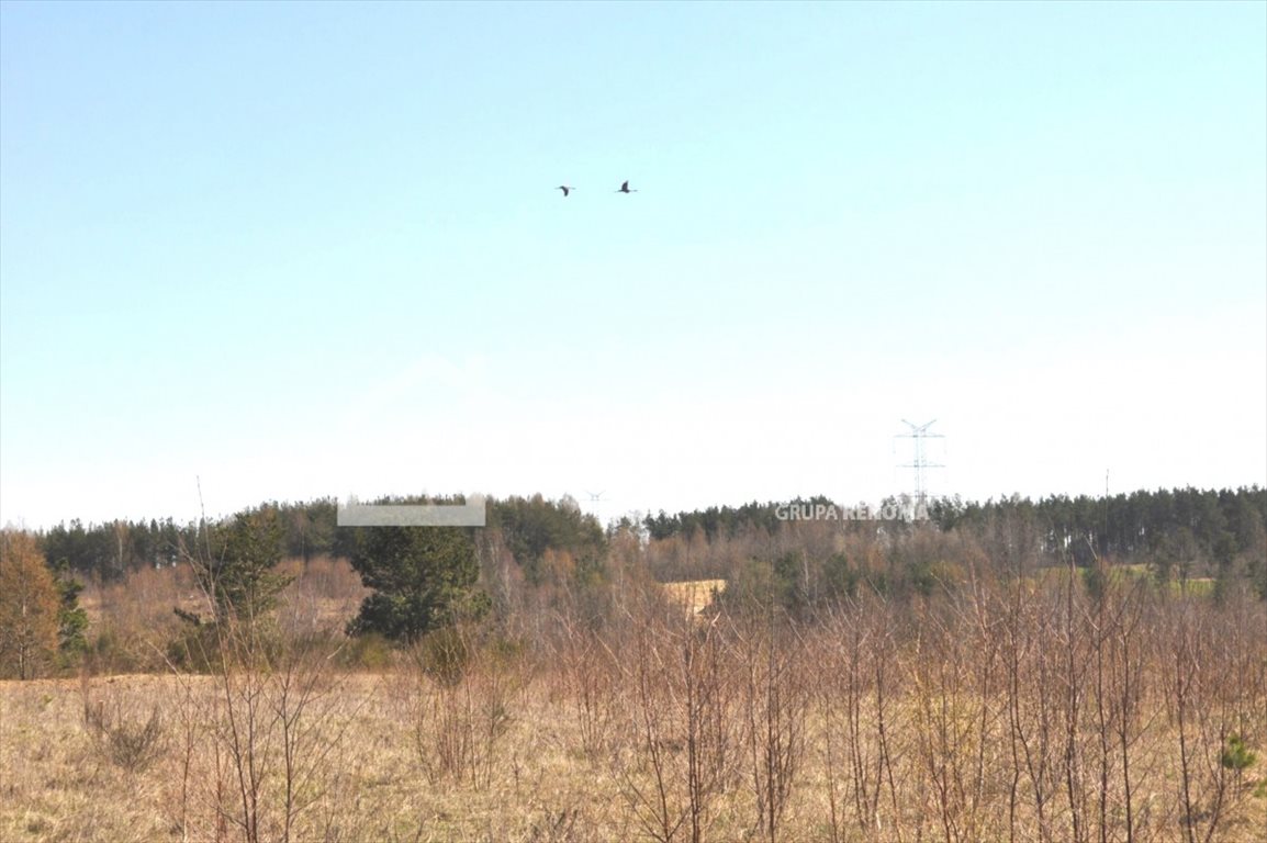 Działka budowlana na sprzedaż Tokary 1 052m2 Foto 1 Działka budowlana na sprzedaż Tokary 1 052m2 Foto 1