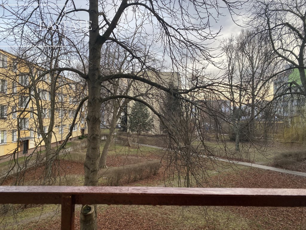 Mieszkanie dwupokojowe na wynajem Warszawa, Praga-Południe Saska Kępa, Brazylijska  39m2 Foto 7