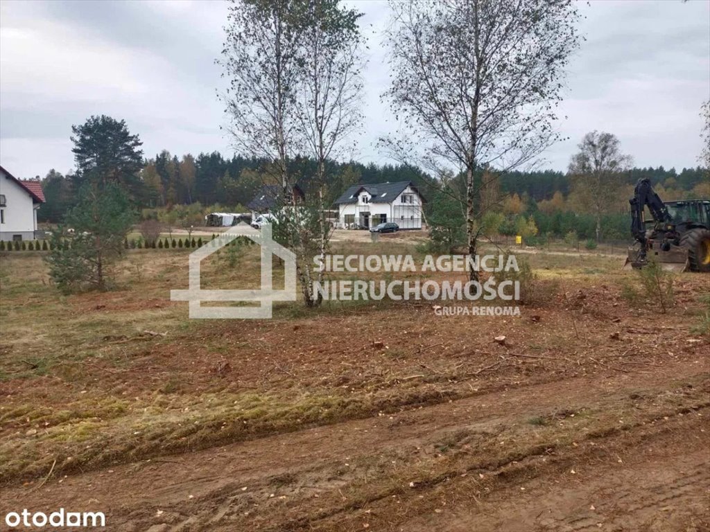Działka 42 000 m² z warunkami zabudowy i lasem Przewóz  42 000m2 Foto 1