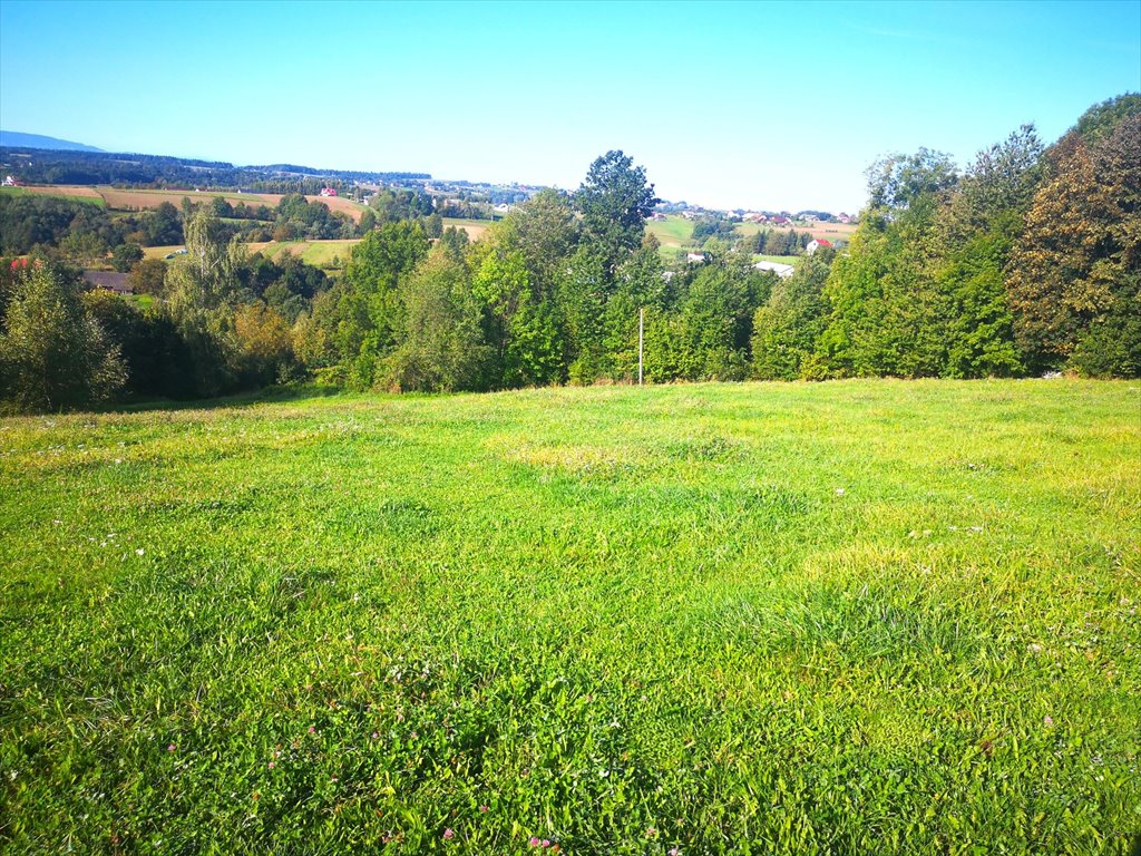 Działka 0,39 ha z widokiem, lasem i mediami w Turzy Turza  3 900m2 Foto 1