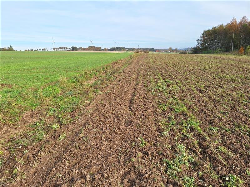 Działka inna na sprzedaż Kopnica, Kopnica  5 500m2 Foto 9