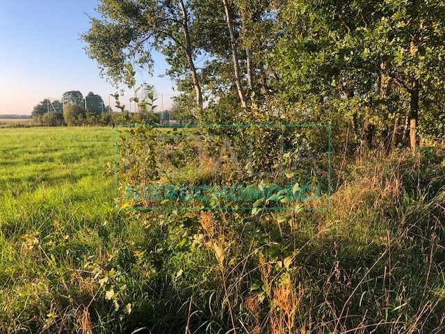 Działka budowlana na sprzedaż Książenice  1 500m2 Foto 4