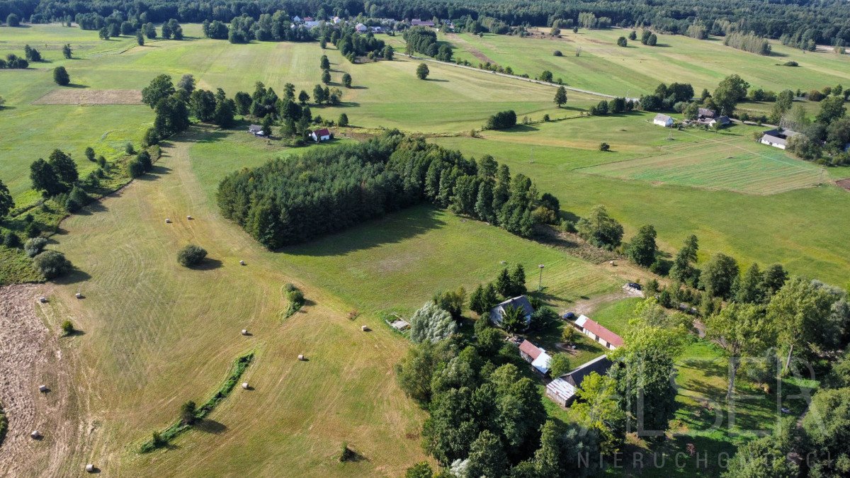 Działka budowlana na sprzedaż Stare Budy  1 017m2 Foto 6