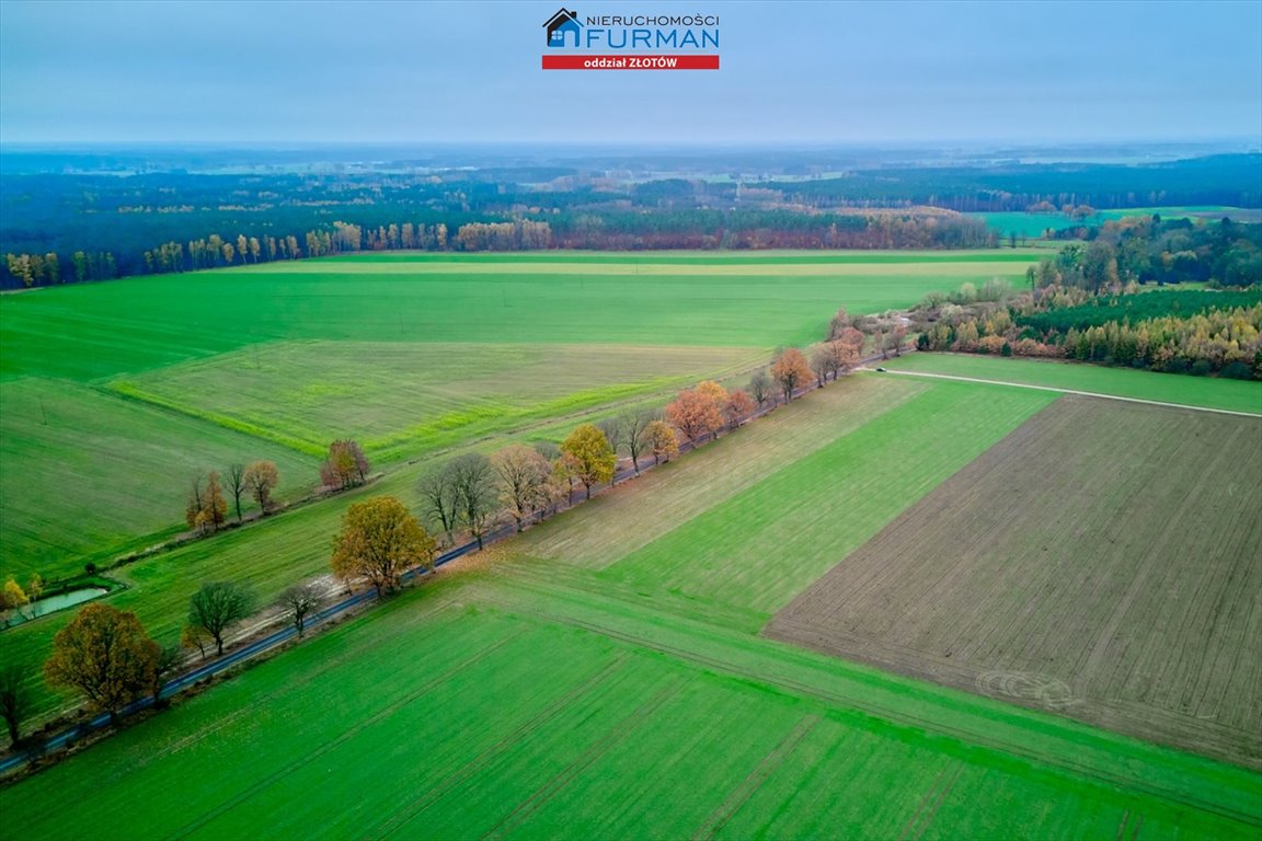 Działka inna na sprzedaż Mały Buczek  1 077m2 Foto 6