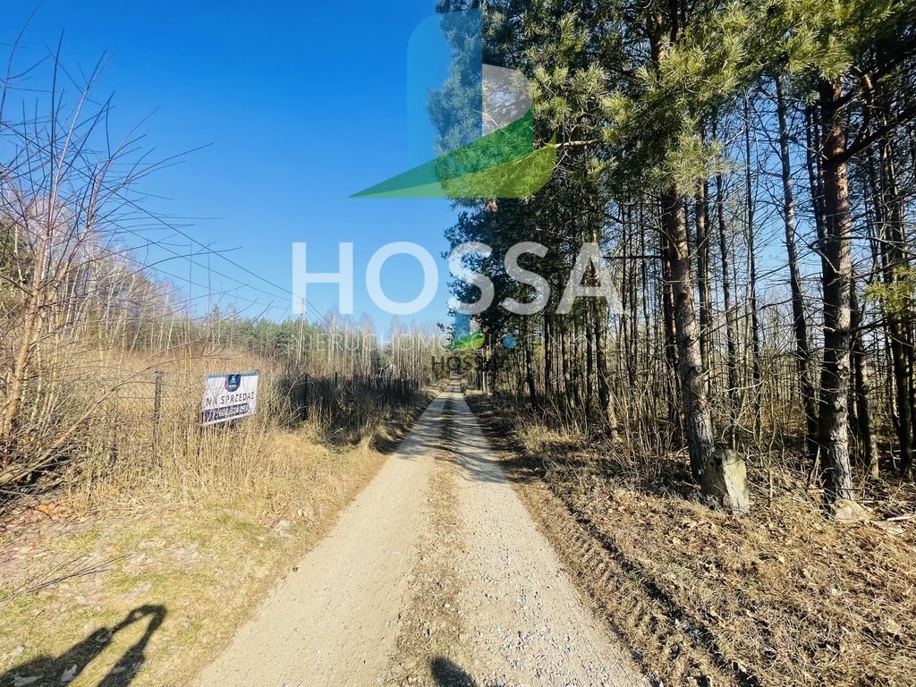 Na sprzedaż działka 3800m² z warunkami zabudowy i pełnym uzbrojeniem Więckowo  3 800m2 Foto 1