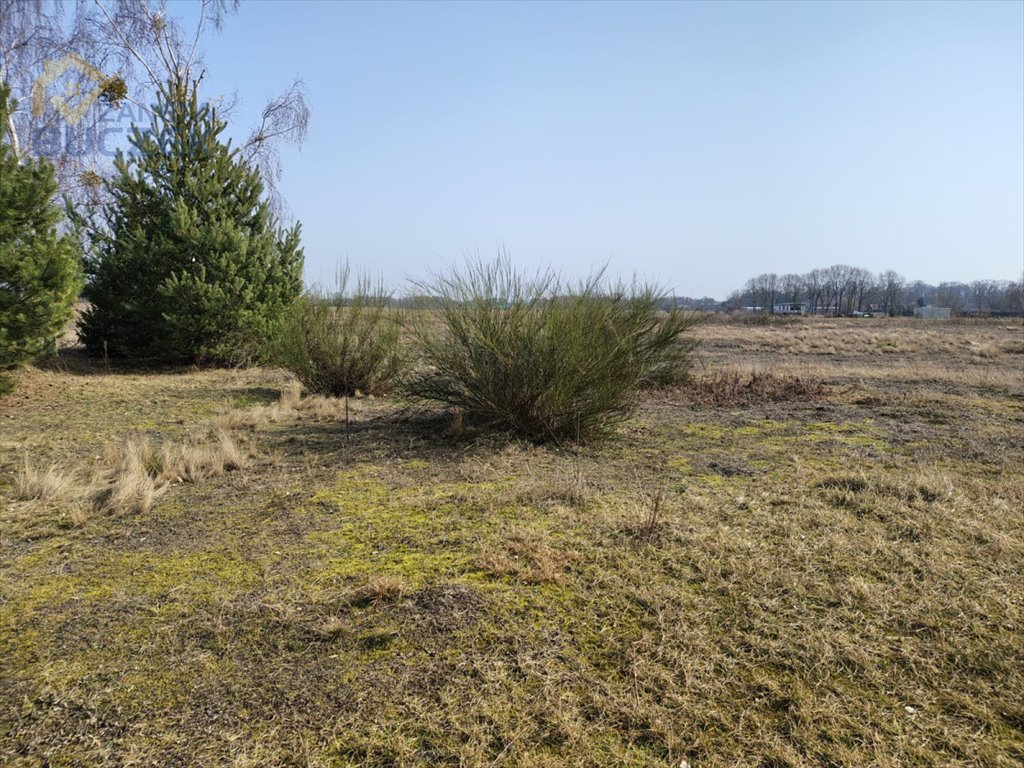 Działki rolne 4033 m² w Skarbikowie – cisza i natura Skarbikowo  4 033m2 Foto 1