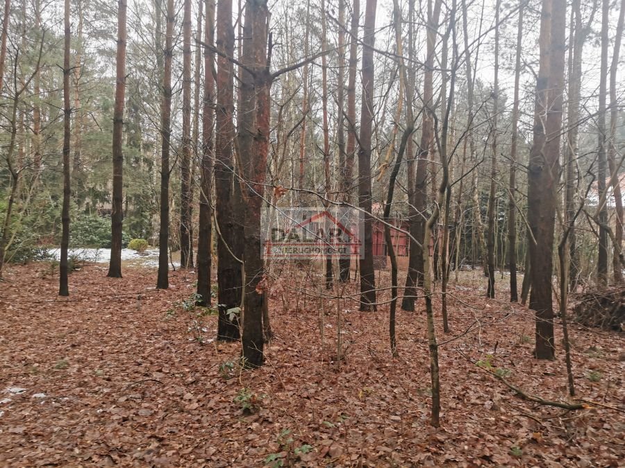 Działka budowlana na sprzedaż Prace Duże  1 900m2 Foto 4