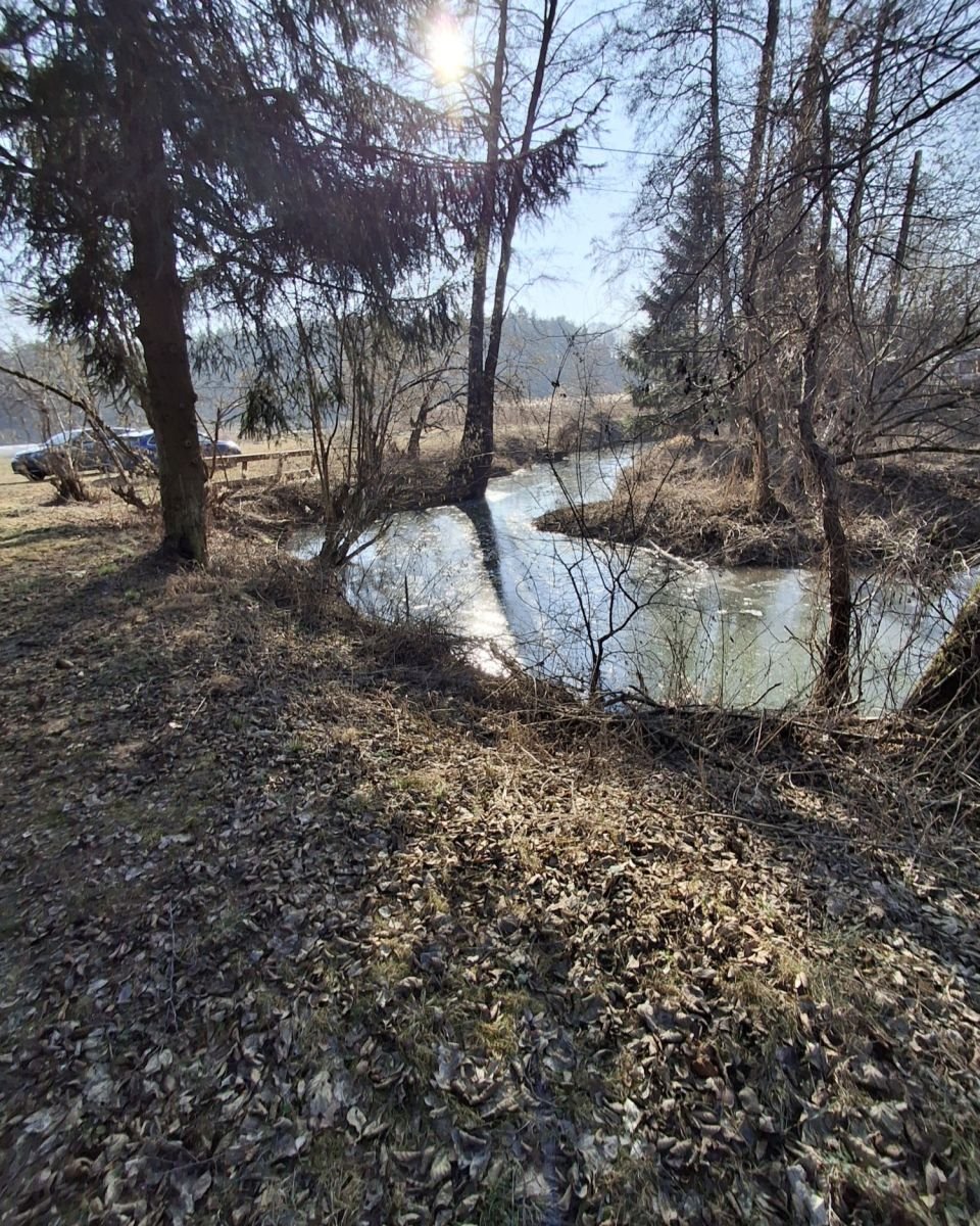 Lokal użytkowy na sprzedaż Tartak  52 600m2 Foto 8