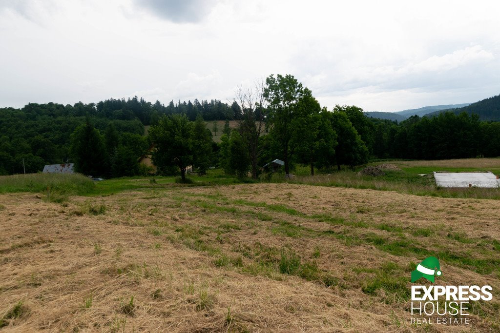 Działka budowlana na sprzedaż Stronie Śląskie, Polna  2 617m2 Foto 9