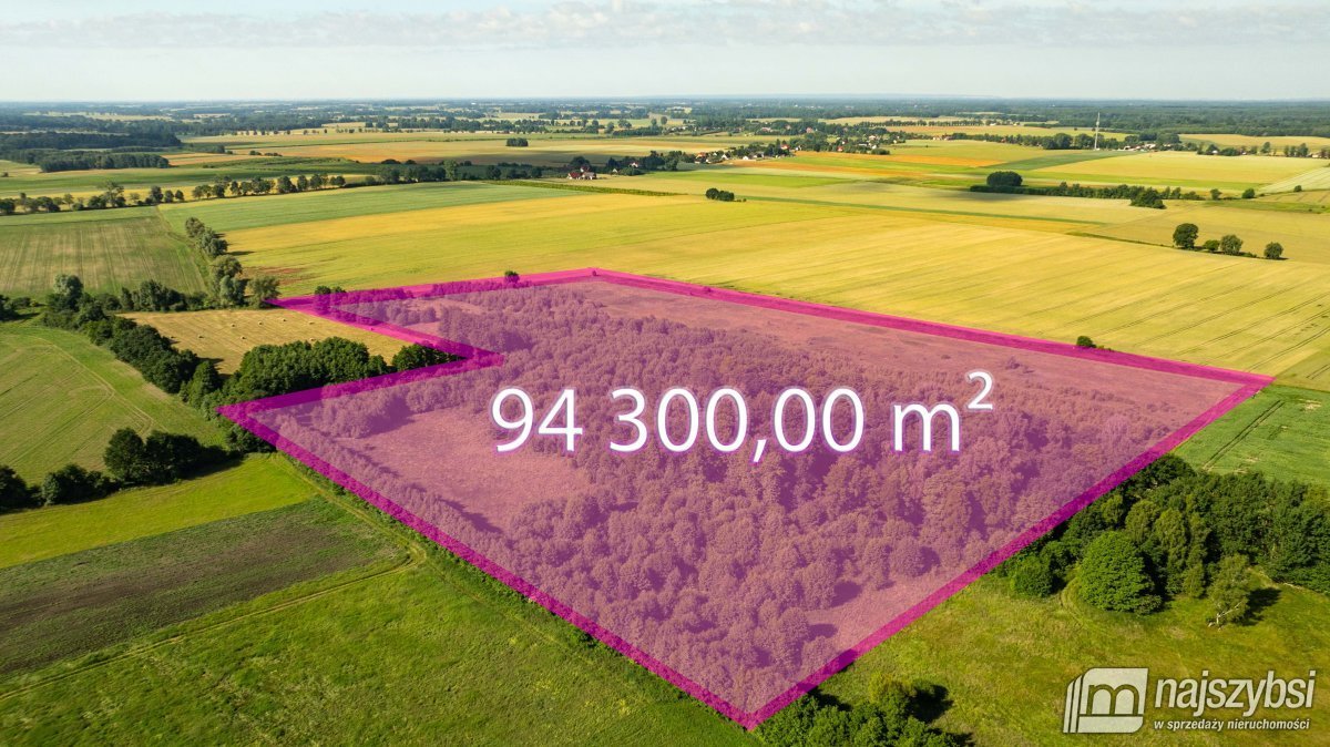 Działka inna na sprzedaż Maszewo, Bagna  94 300m2 Foto 1