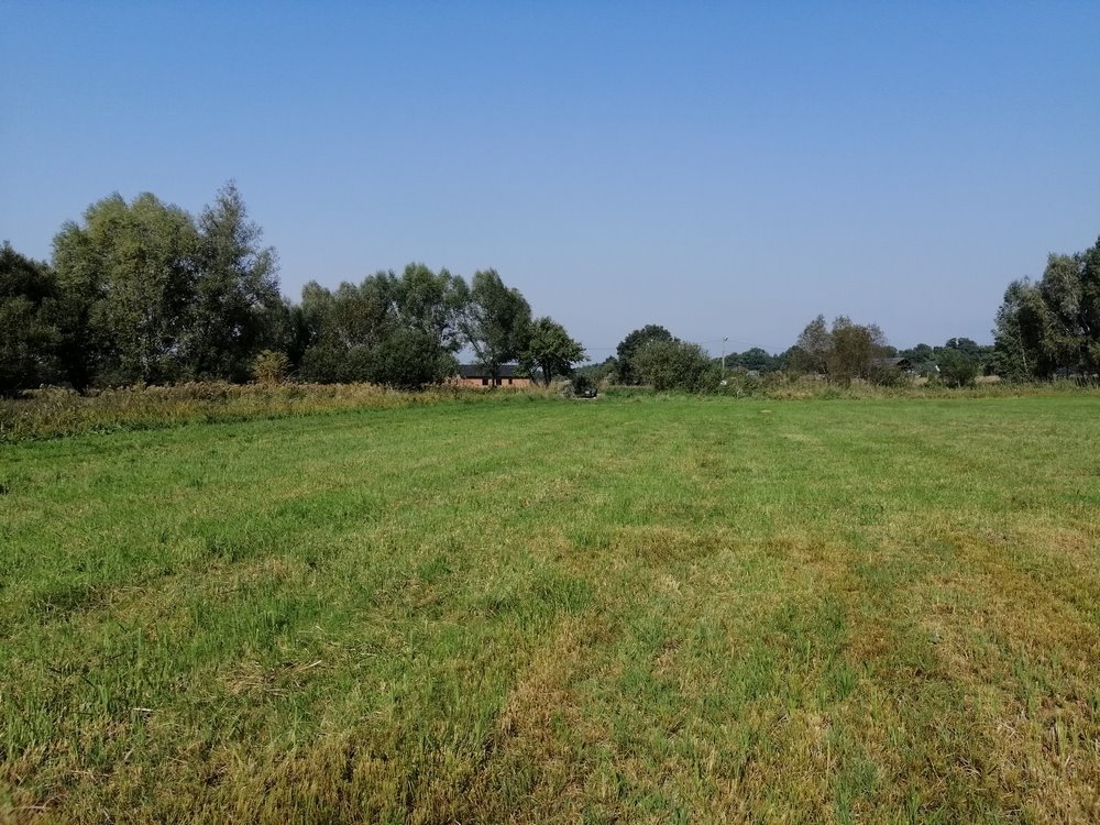 Działka budowlana 3112 m² pod lasem, pełne uzbrojenie Łęgi  3 112m2 Foto 1