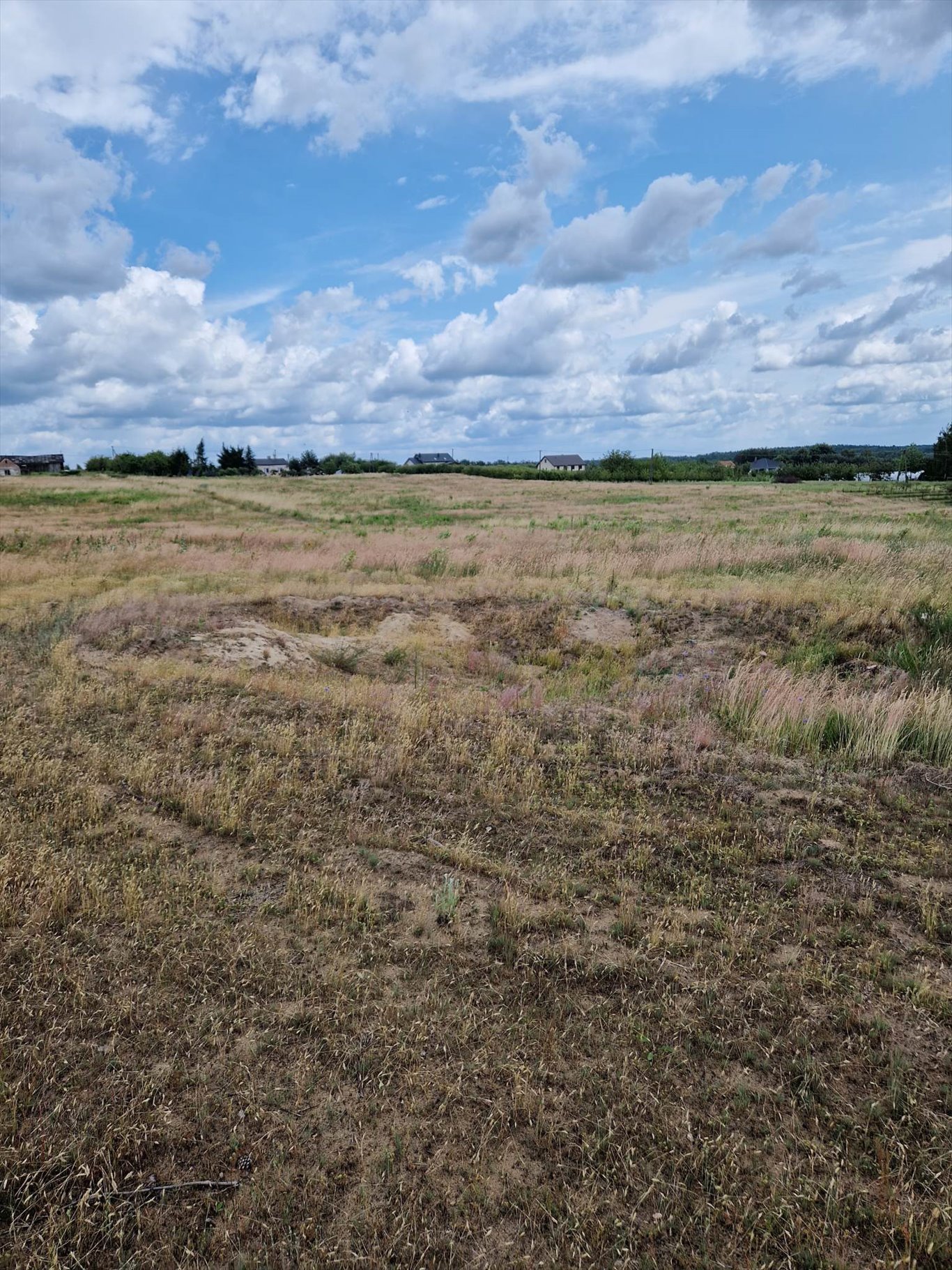 Działka inwestycyjna na sprzedaż Jurki, Jurki, droga krajowa nr 50  55 700m2 Foto 2