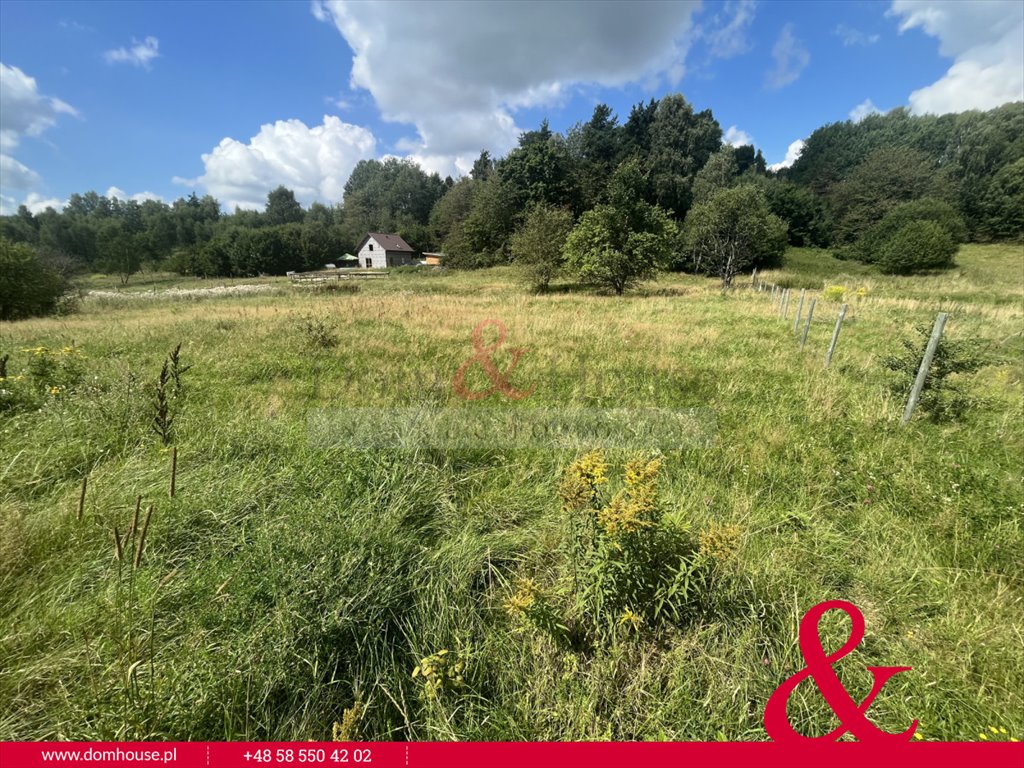 Działka budowlana na sprzedaż Gromadzin  3 300m2 Foto 1