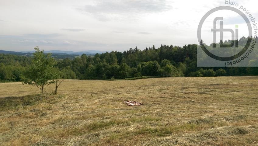 Działka rekreacyjna na sprzedaż Kalwaria Zebrzydowska 11 283m2 Foto 1 Działka rekreacyjna na sprzedaż Kalwaria Zebrzydowska 11 283m2 Foto 1