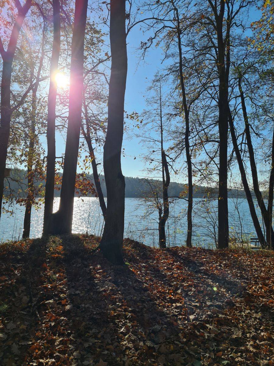 Działka 3000 m² z warunkami zabudowy, las i jeziora Grzybowo  3 000m2 Foto 1