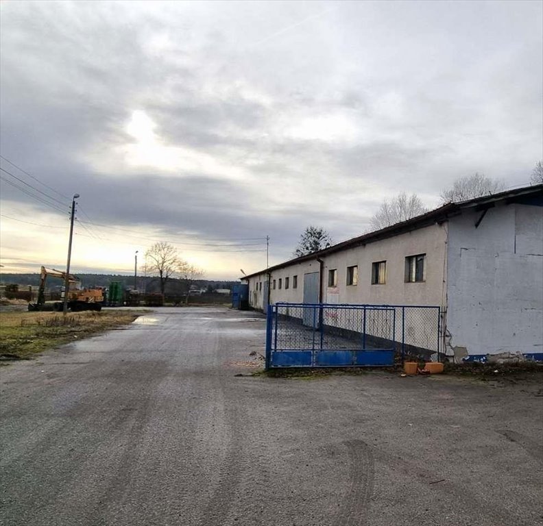Magazyn na wynajem Mosina  800m2 Foto 1