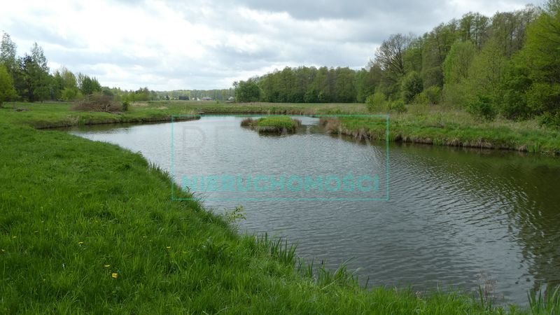 Działka siedliskowa na sprzedaż Pieńki Zarębskie  10 300m2 Foto 8