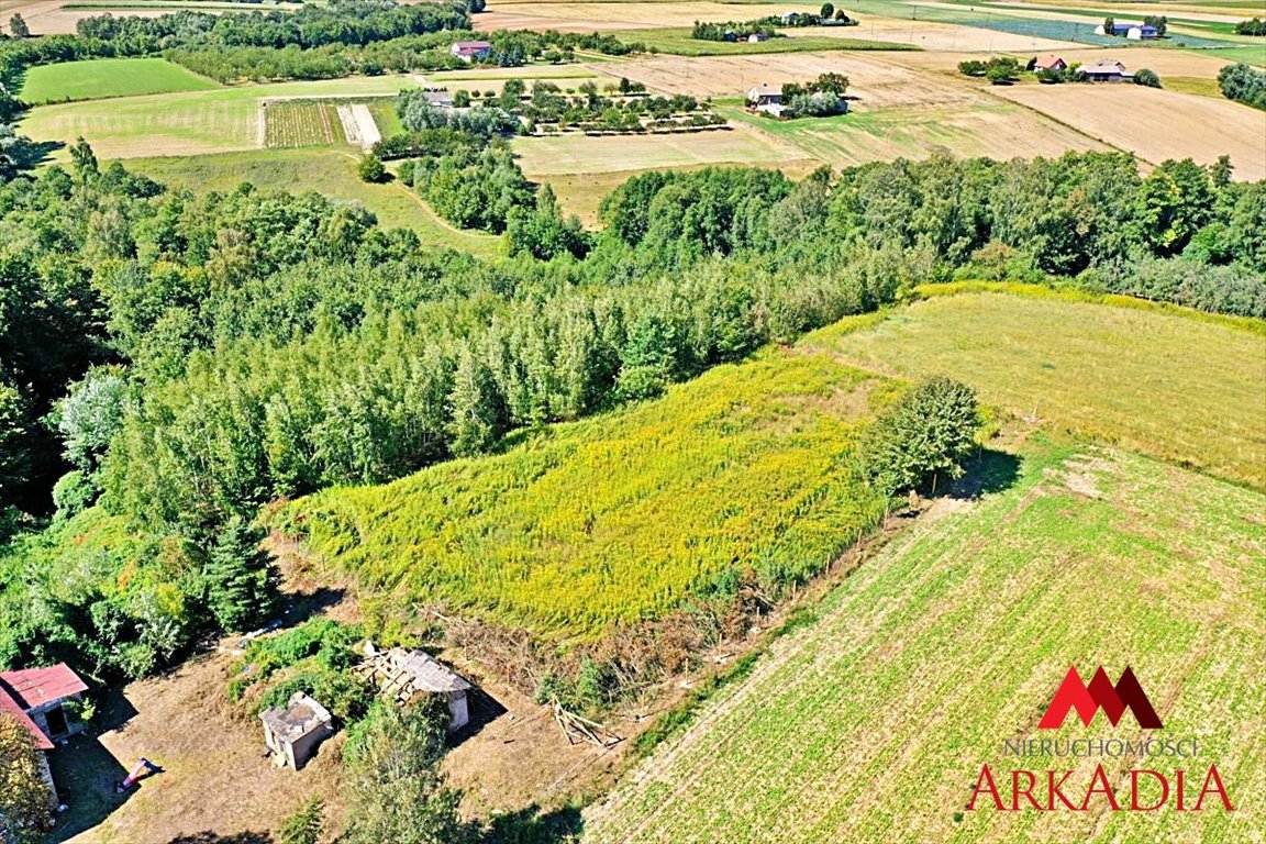 Działka budowlana na sprzedaż Dobrzyń nad Wisłą, Bachorzewo  3 099m2 Foto 3