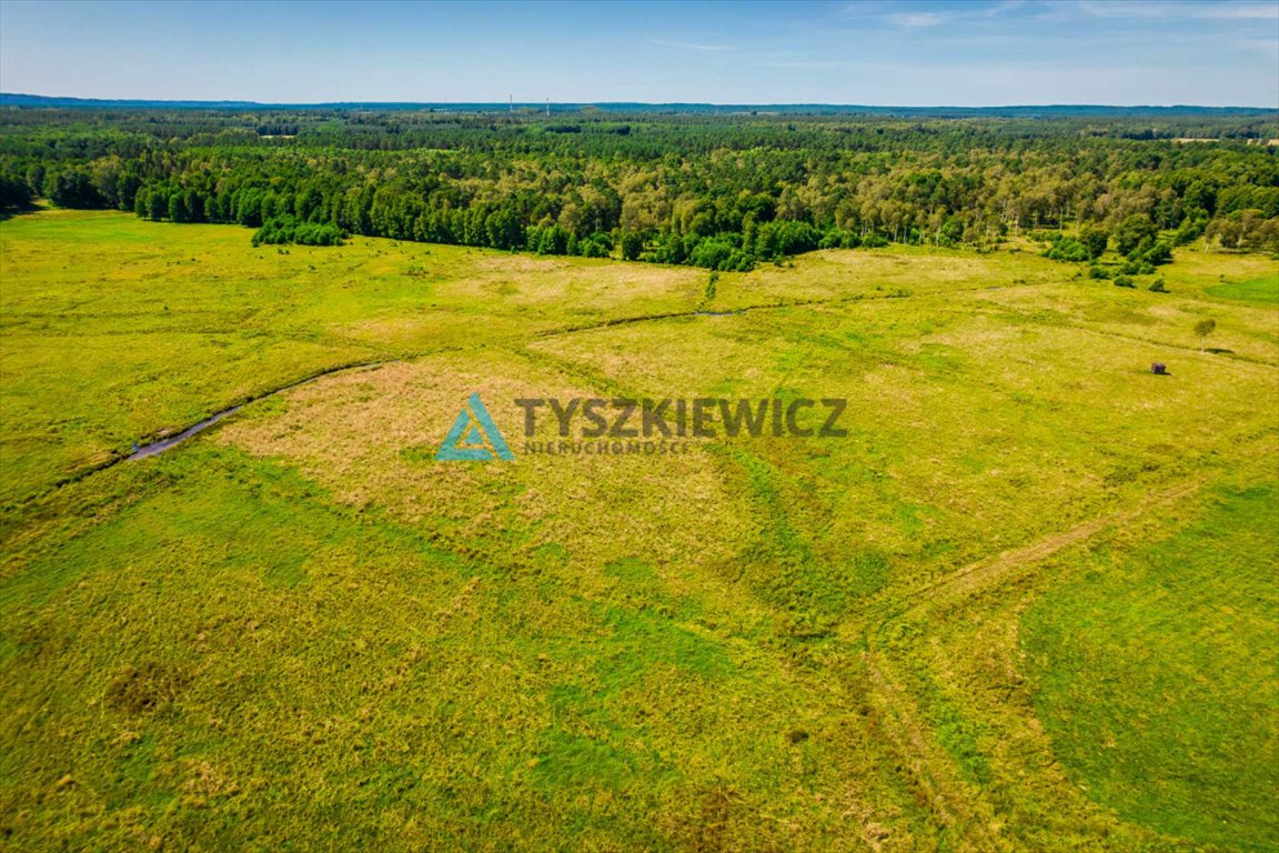 Działka rolna na sprzedaż Poborowo  9 200m2 Foto 7