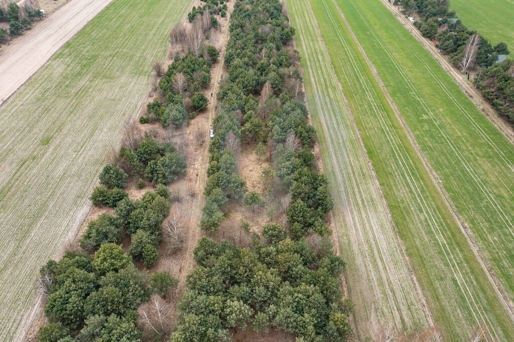 Działka budowlana na sprzedaż Królewo  3 000m2 Foto 4