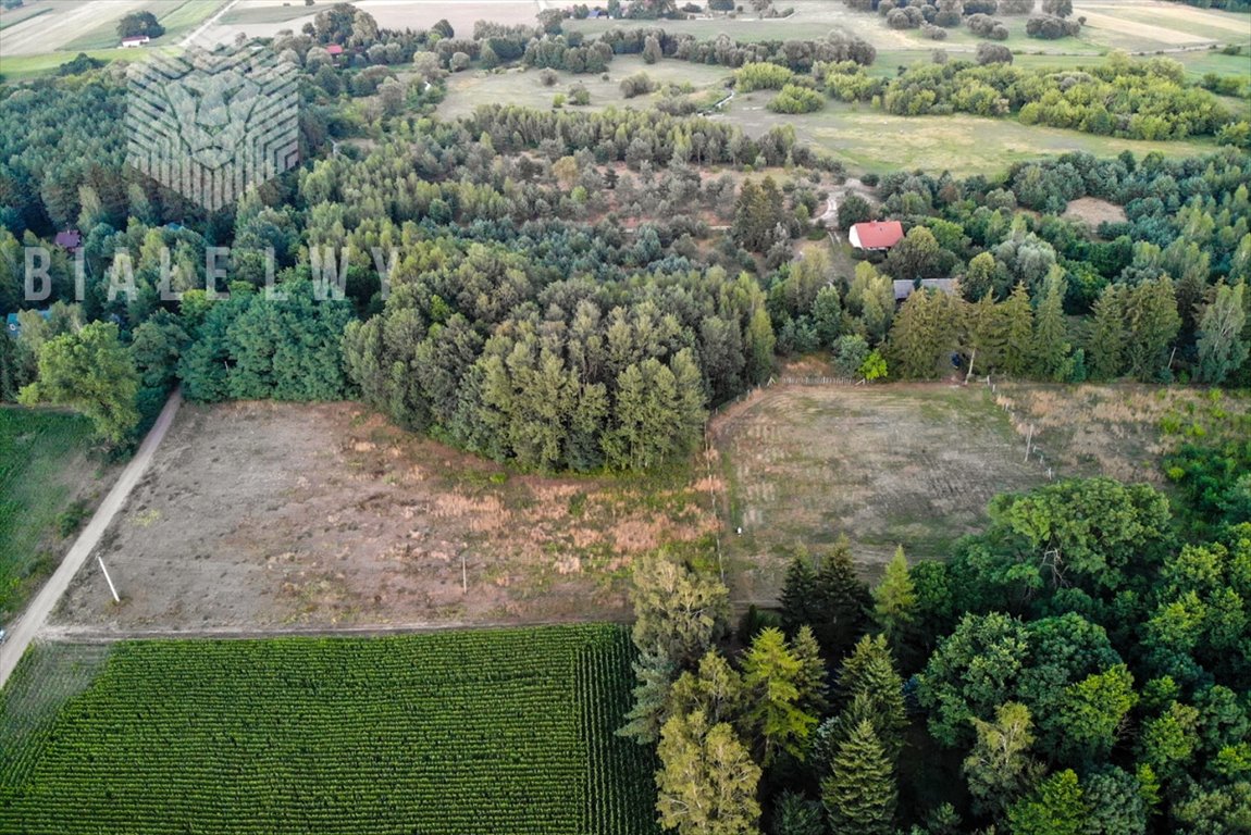 Działka rolna na sprzedaż Baraki  3 000m2 Foto 9