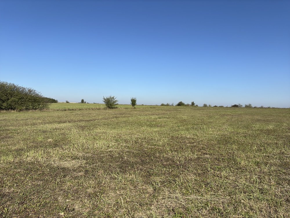 Działka budowlana na sprzedaż Myszkowice, Dalekówka  1 227m2 Foto 4