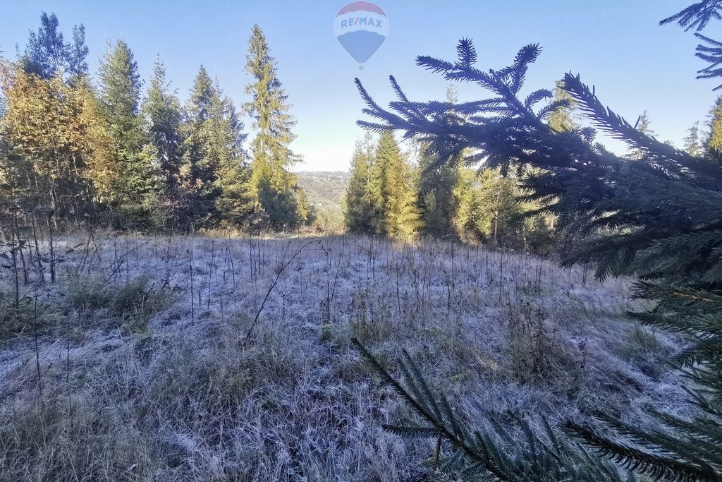 Działka leśna na sprzedaż Poronin  1 720m2 Foto 7