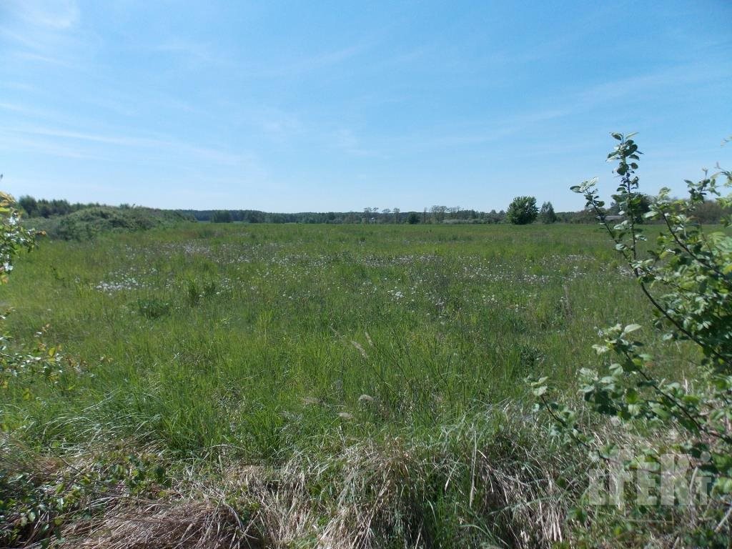 Działka budowlana na sprzedaż Gąba  14 000m2 Foto 4