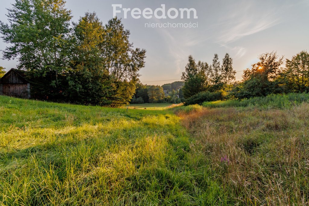 Działka budowlana na sprzedaż Zabłędza  9 218m2 Foto 3