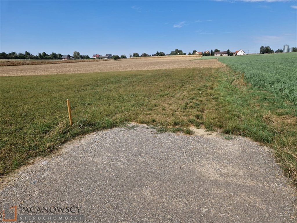 Działka budowlana na sprzedaż Sieciechowice  2 505m2 Foto 2