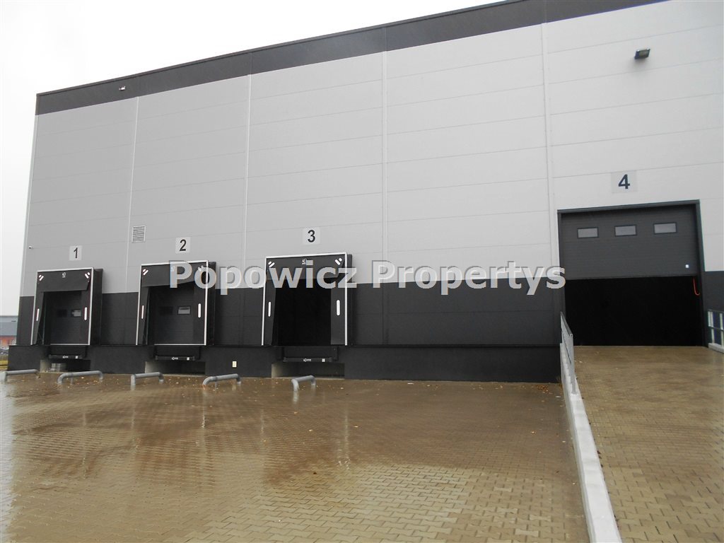 Nowoczesna hala A 4000 m² z biurami i chłodniami Młyny  4 000m2 Foto 1