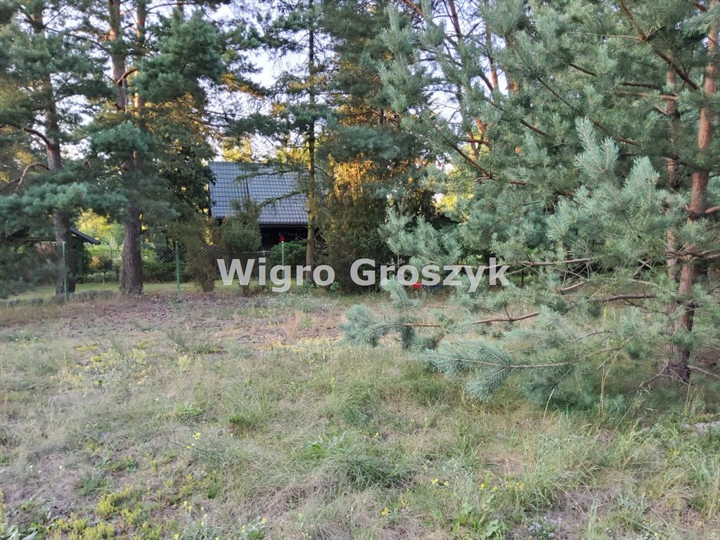 Działka budowlana na sprzedaż Pogorzelec  4 300m2 Foto 7