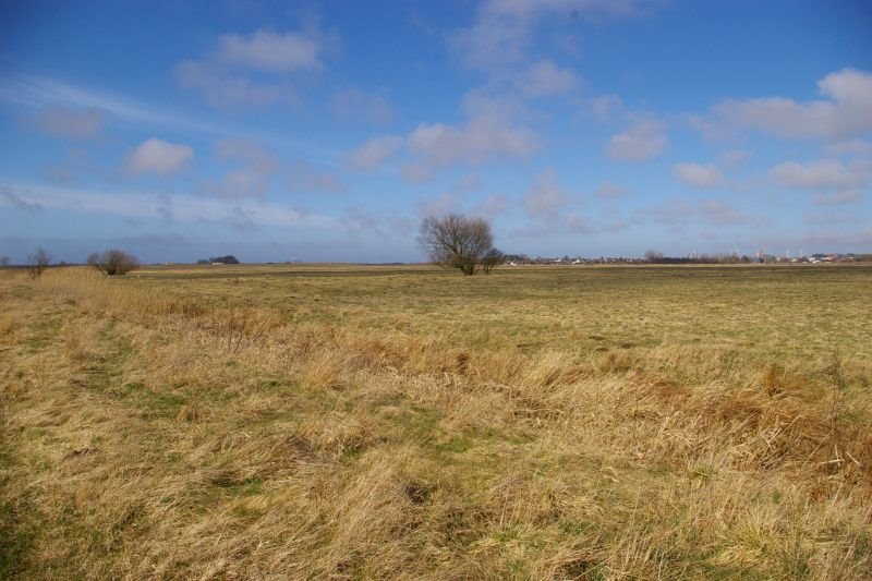 Działka inna na sprzedaż Domasławice, Domasławice  9 500m2 Foto 7