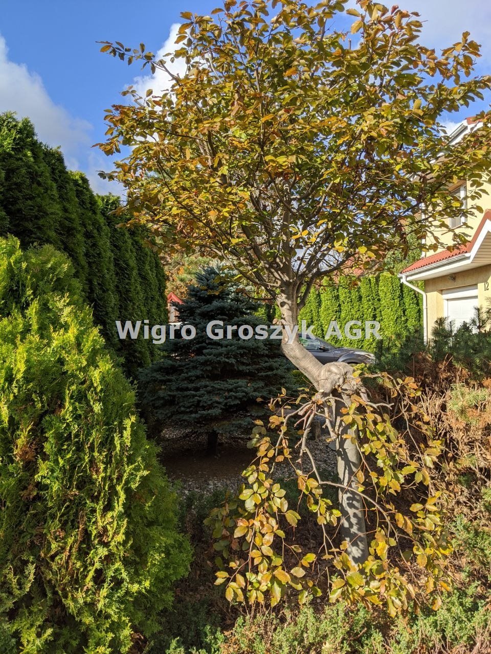 Przestronny dom 240 m² z dużą działką i garażem Kiełpin  240m2 Foto 1