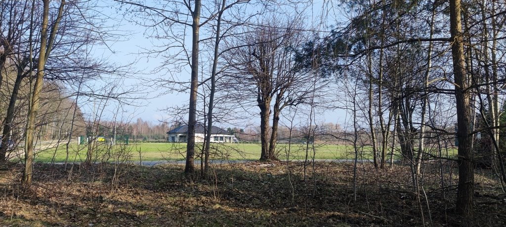 Działka rolna na sprzedaż Borzęcin Duży, Spacerowa  3 000m2 Foto 3