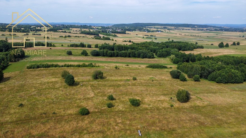 Działka rolna na sprzedaż Łężyny  1 500m2 Foto 5