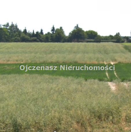 Działka rolna na sprzedaż Gościeradz  6 208m2 Foto 1