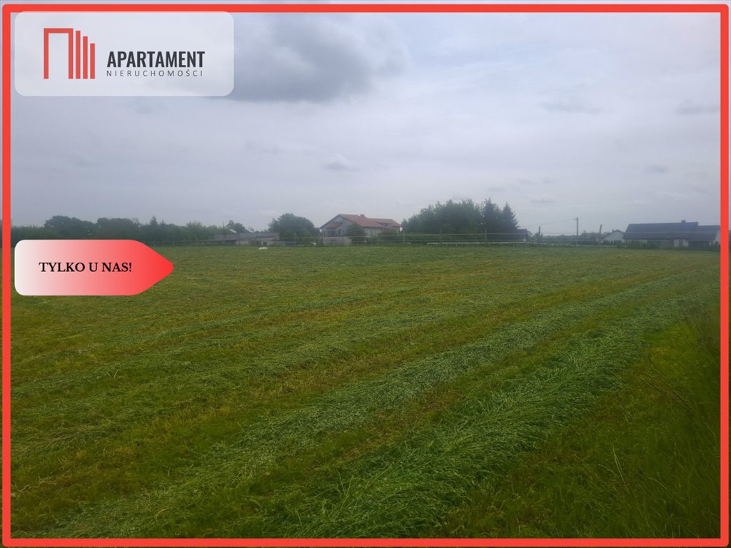 Działka 50 000 m² z dojazdem asfaltowym w Grubnie Grubno  50 000m2 Foto 1