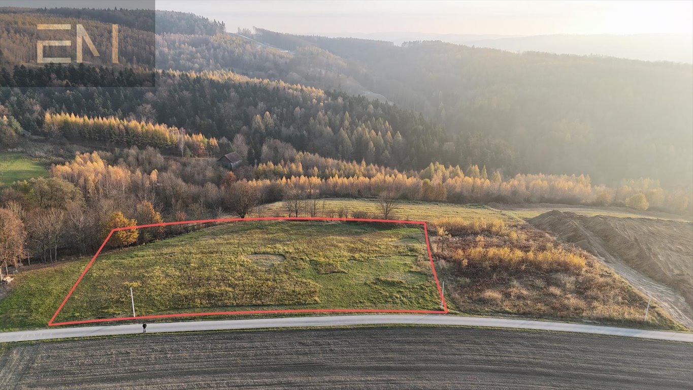 Działka budowlana na sprzedaż Żarnowa  5 000m2 Foto 1