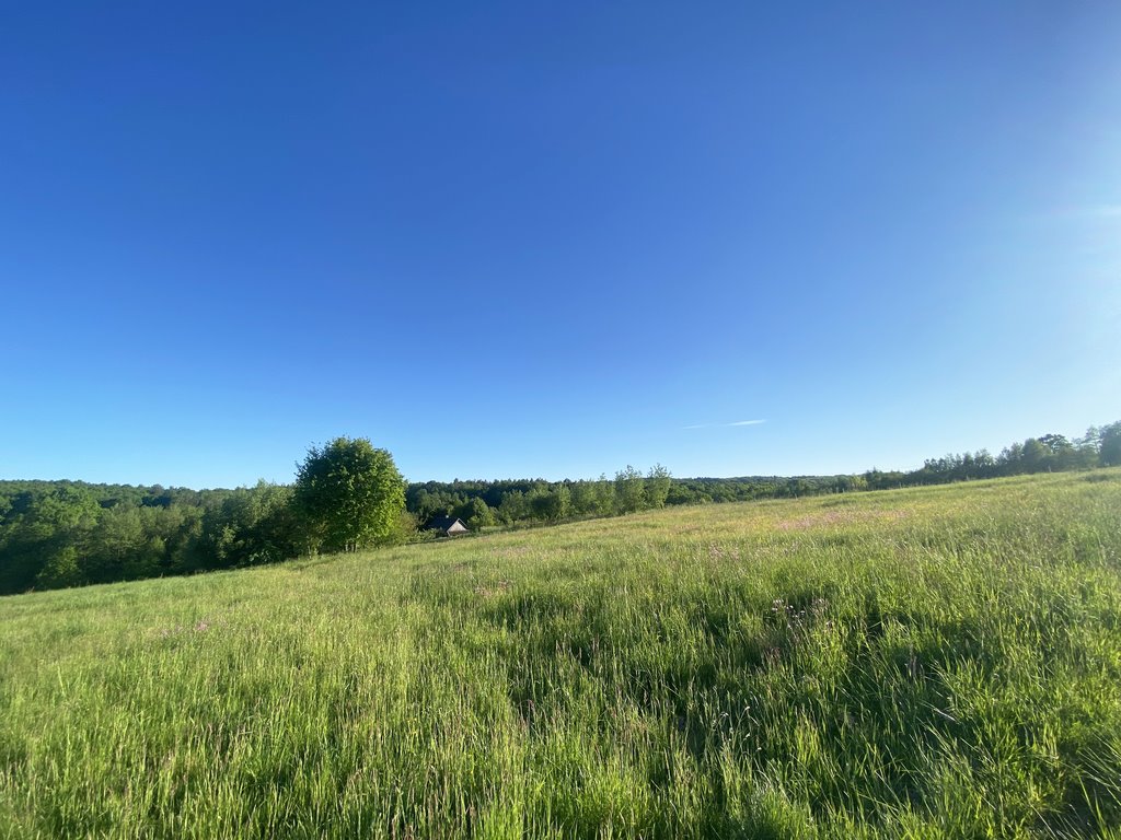 Działka budowlana na sprzedaż Hermanowa  16 000m2 Foto 9