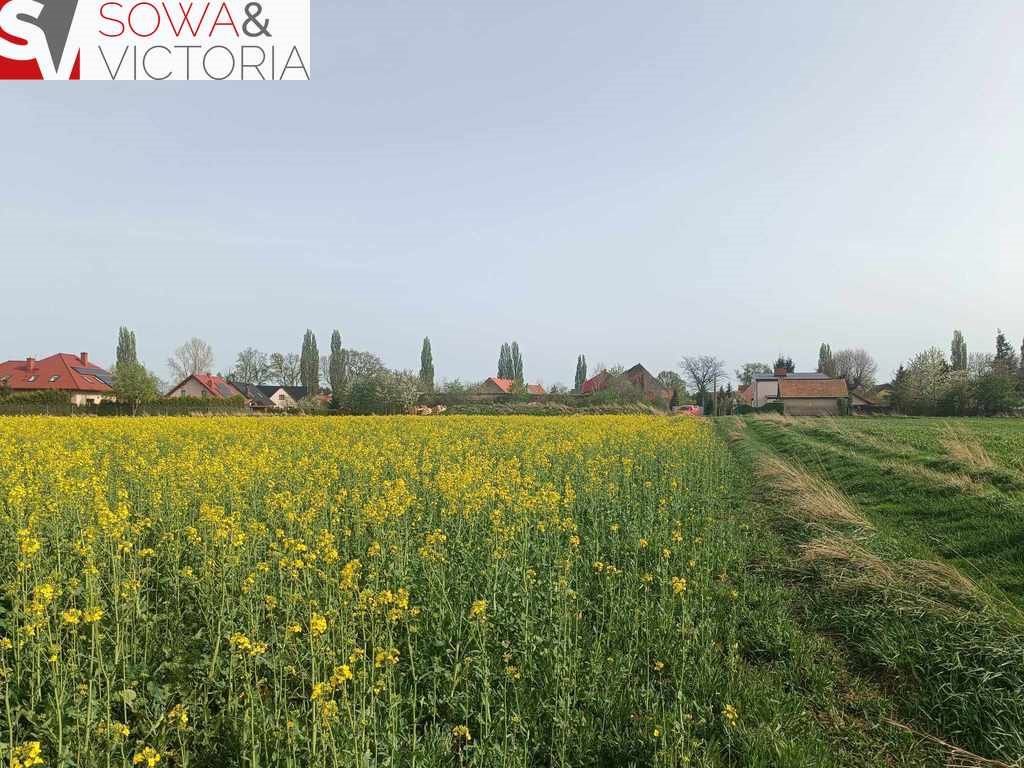 Działka budowlana na sprzedaż Świebodzice, Ciernie  1 702m2 Foto 4