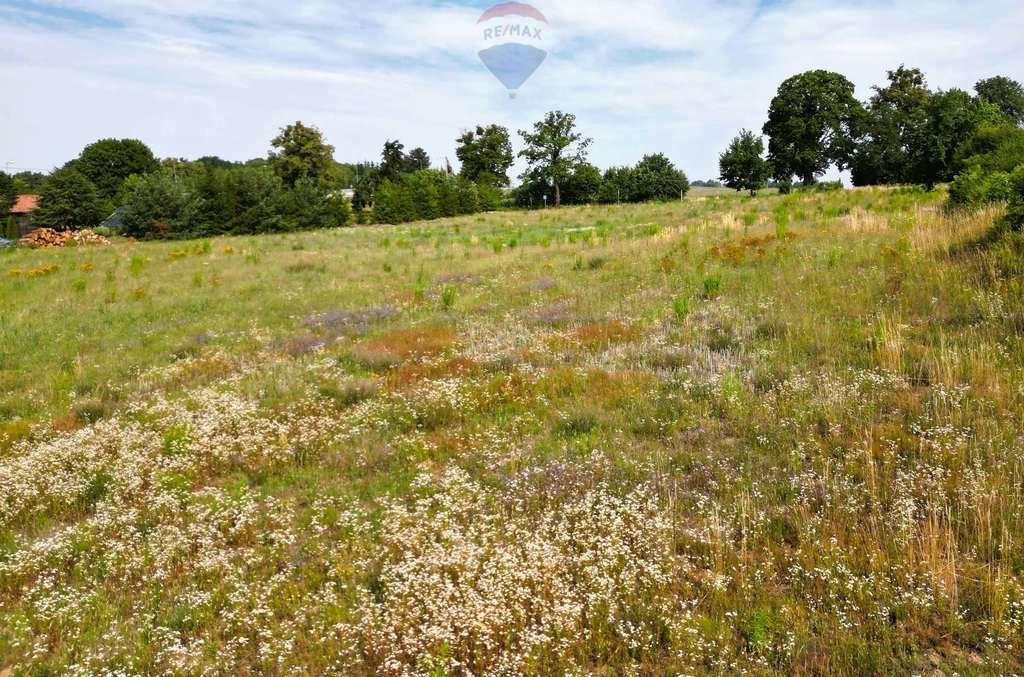 Działka rolna na sprzedaż Witramowo  1 817m2 Foto 10