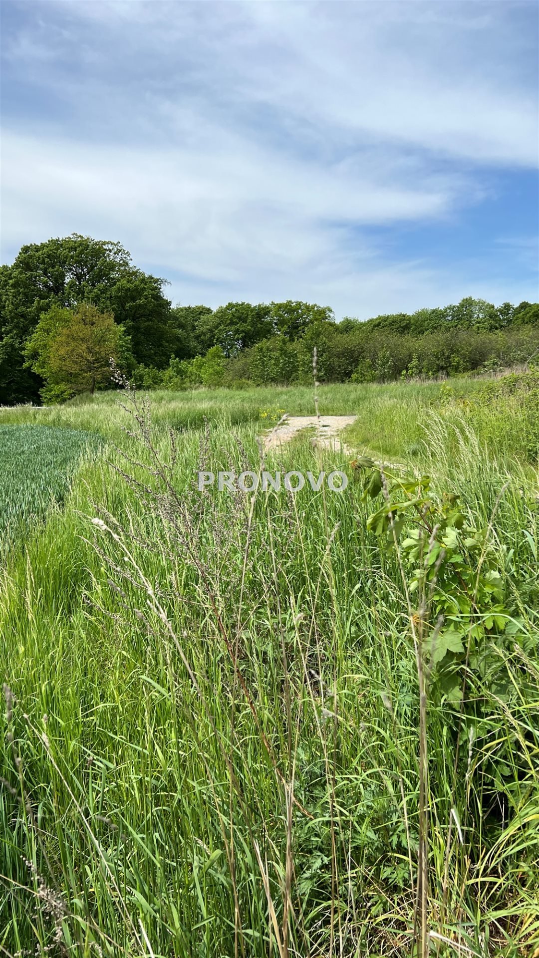 Działka budowlana na sprzedaż Borkowice, Borkowice  3 000m2 Foto 8