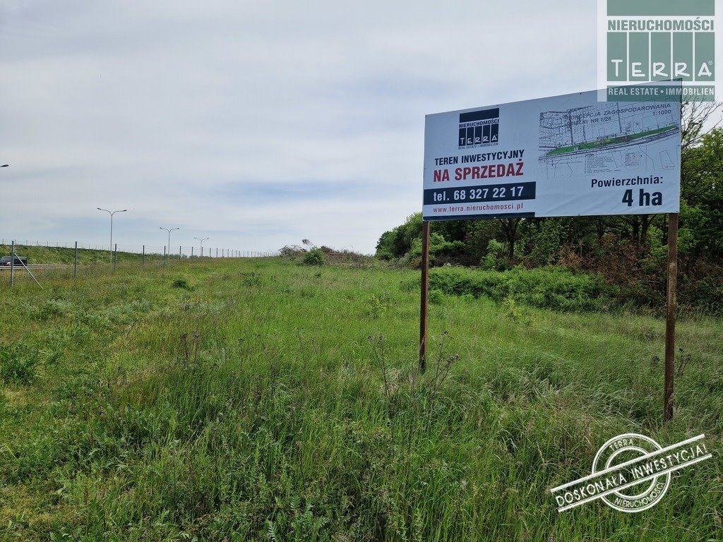 Działka komercyjna na sprzedaż Sulechów, Kruszyna  42 000m2 Foto 1