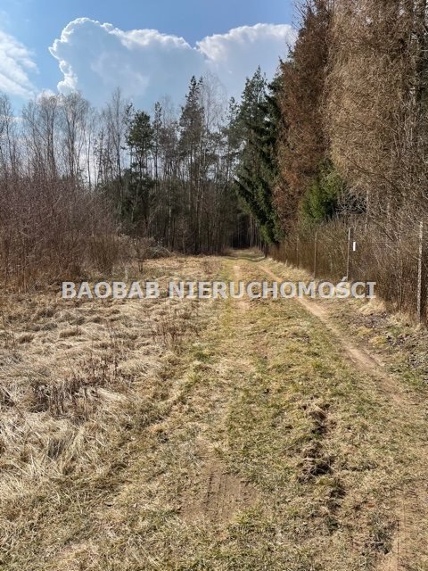 Działka budowlana na sprzedaż Lasek  7 400m2 Foto 4