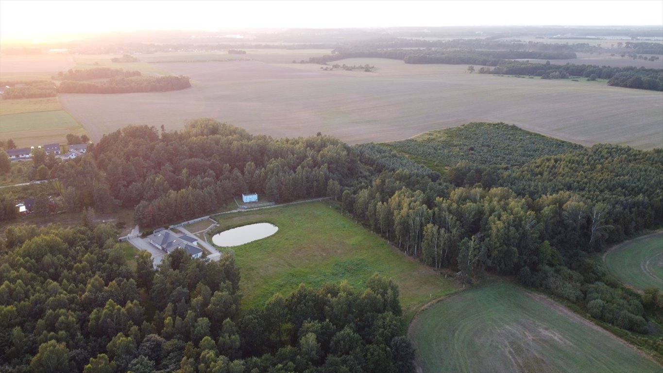 Działka leśna z prawem budowy na sprzedaż Głobino, Przy Lesie  6 200m2 Foto 8