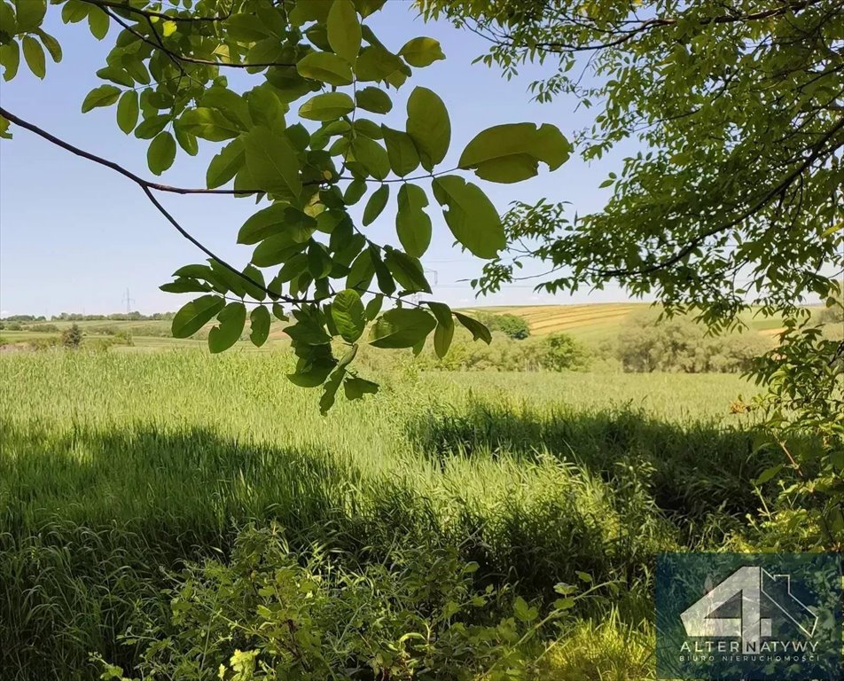 Działka gospodarstwo rolne na sprzedaż Kraków, Ruszcza  11 729m2 Foto 3