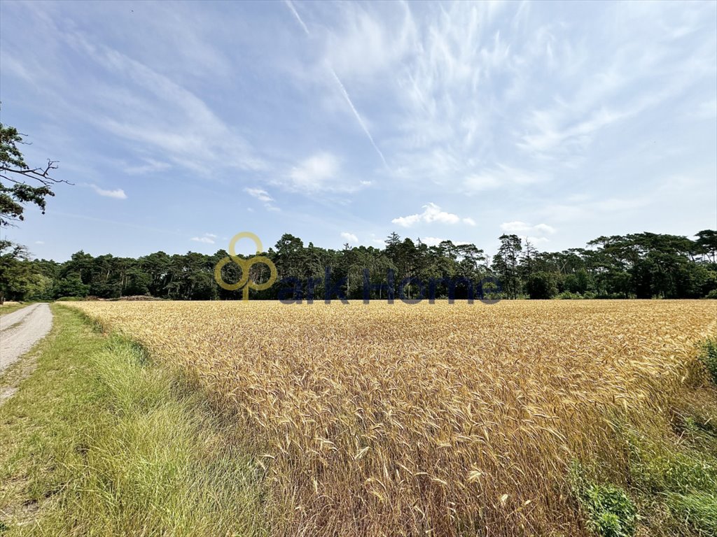 Działka budowlana na sprzedaż Srocko Małe  1 094m2 Foto 5