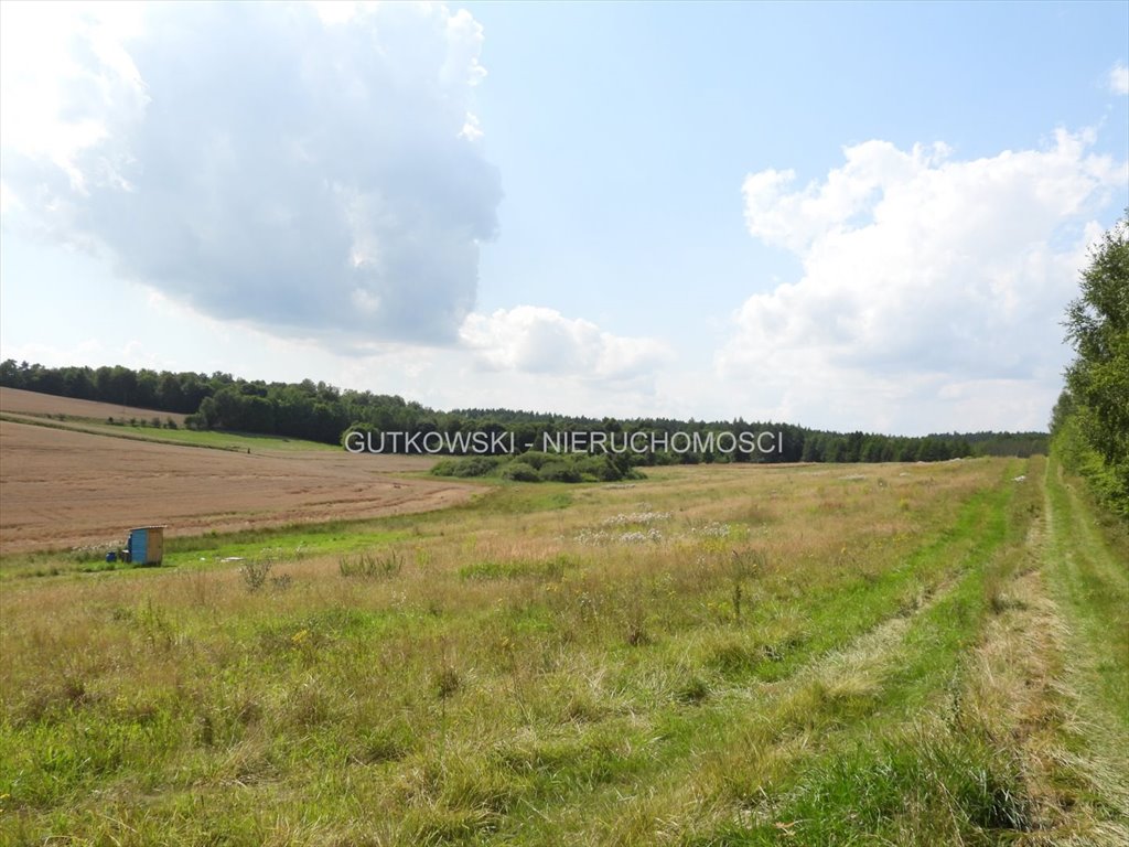 Działka 2,5 ha z widokami na las i jezioro. Lekarty  2 516m2 Foto 1